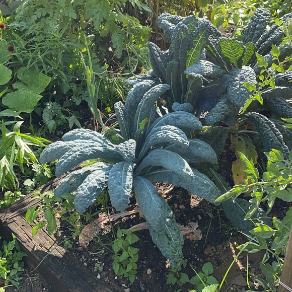 Meet your Posher, Katy - Picture 12 of 12